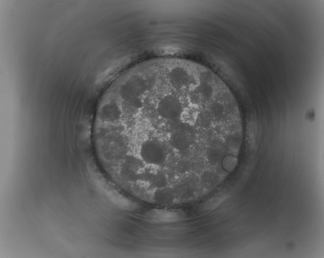 X0000112530545200909071400