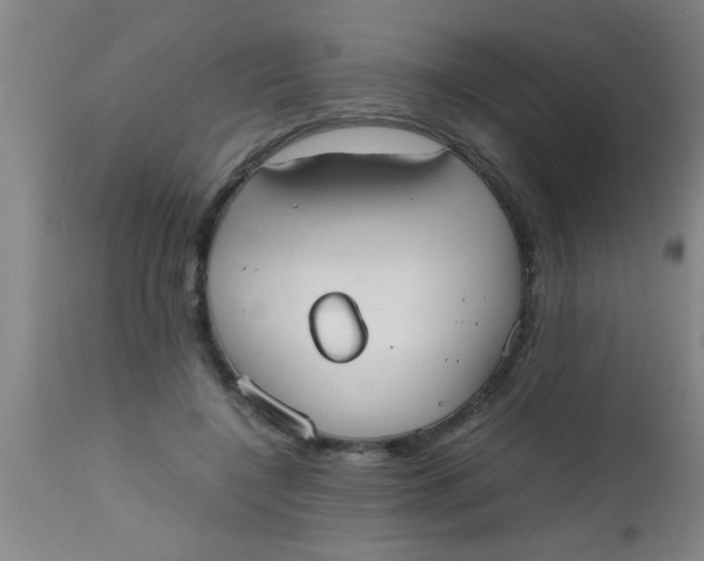 X0000112530548200909071400