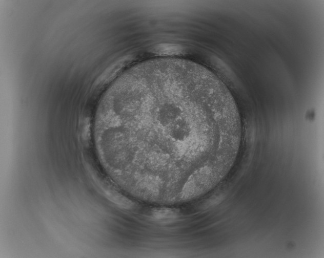 X0000112530549200909071400