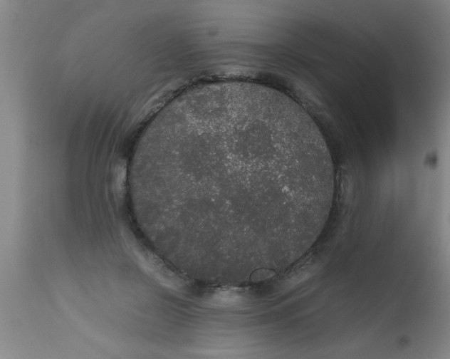 X0000112530550200909071400