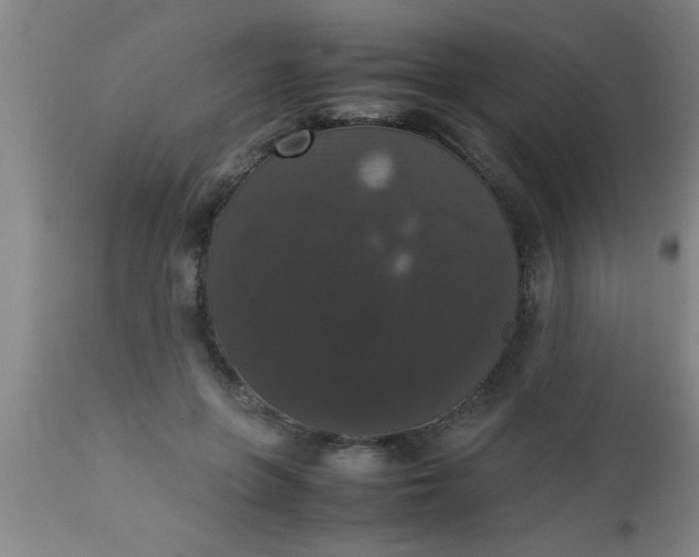 X0000112530551200909071400