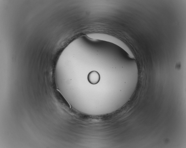 X0000112530552200909071400