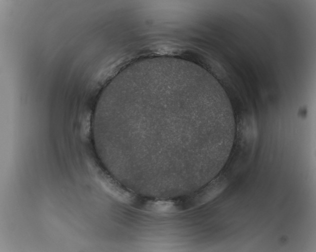 X0000112530554200909071400