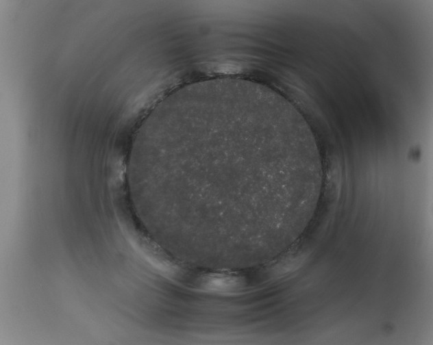 X0000112530555200909071400