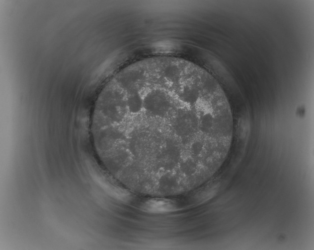 X0000112530557200909071400