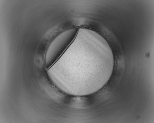 X0000112530558200909071400