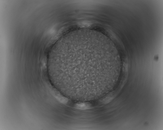 X0000112530561200909071400