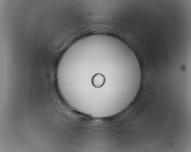 X0000112530562200909071400