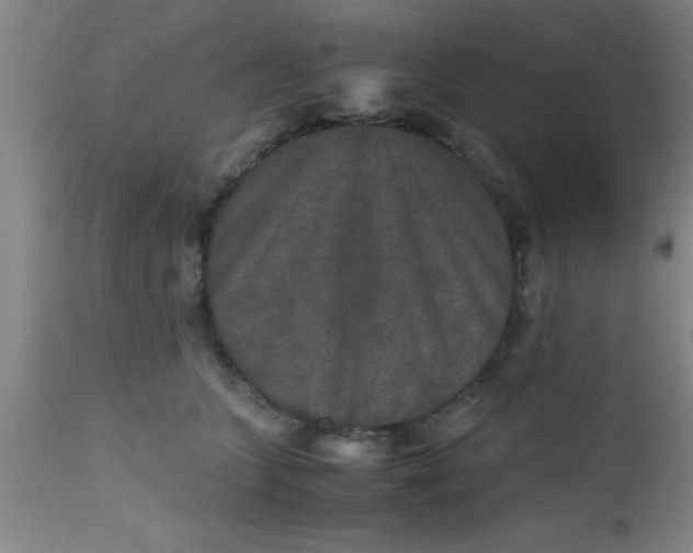 X0000112530563200909071400