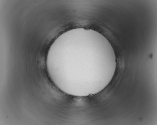 X0000112530564200909071400