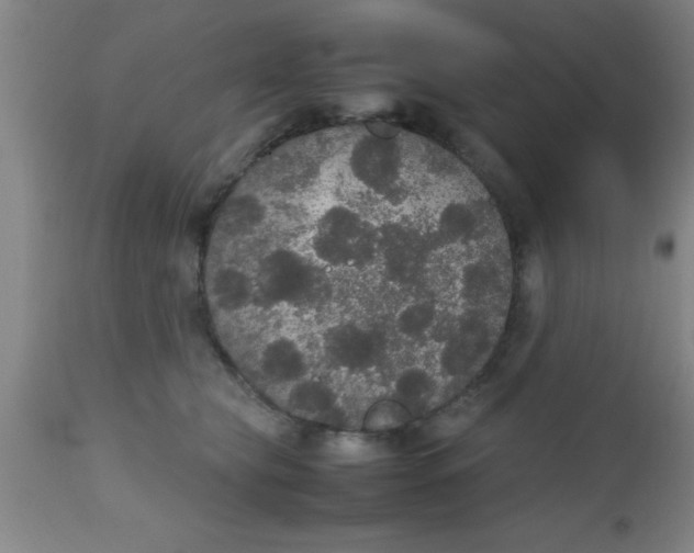 X0000112530565200909071400