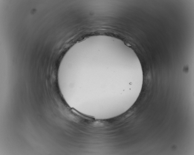 X0000112530566200909071400