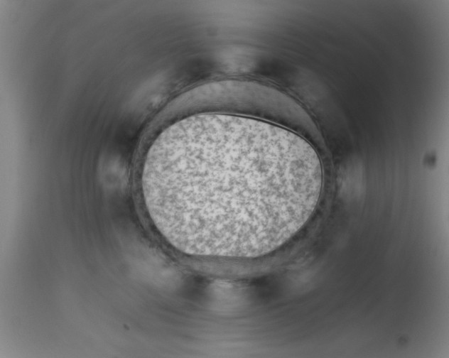 X0000112530568200909071400