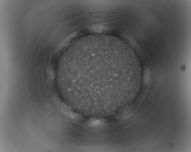 X0000112530569200909071401