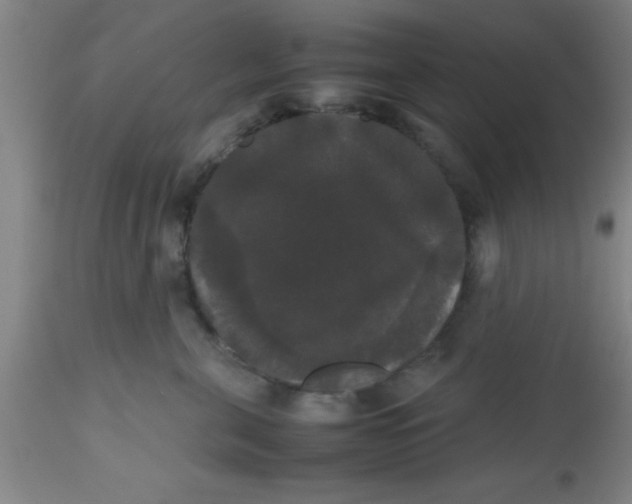 X0000112530571200909071401