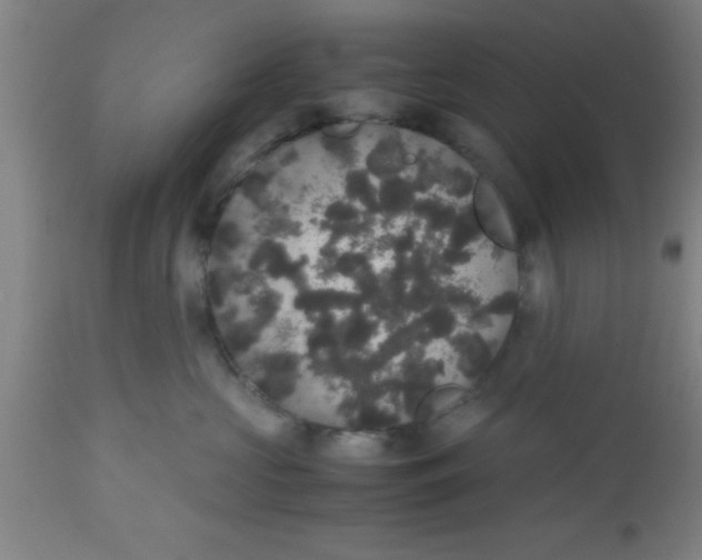 X0000112530573200909071401