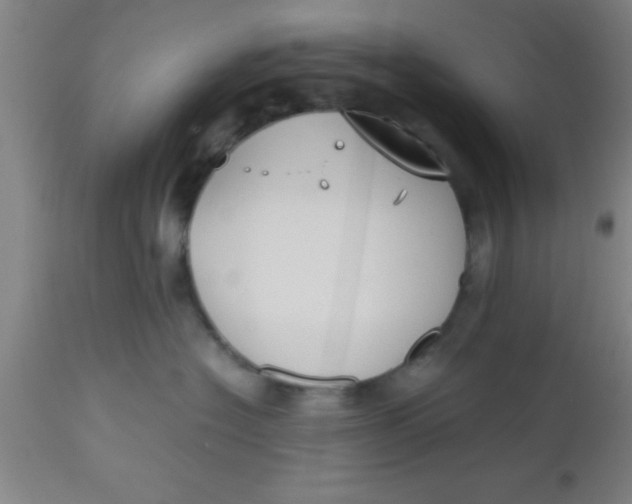 X0000112530574200909071401