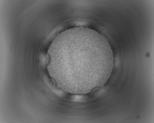 X0000112530575200909071401