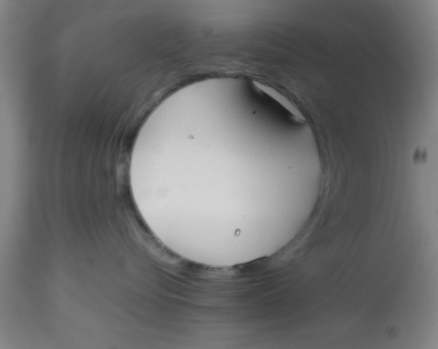 X0000112530576200909071401