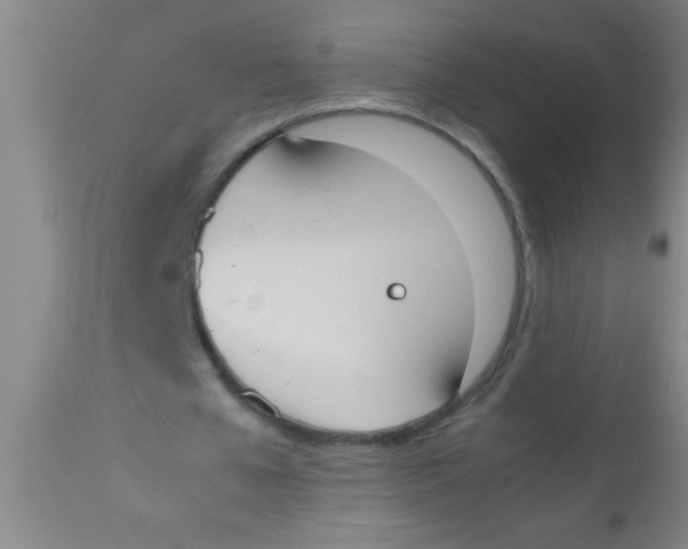 X0000112530577200909071400