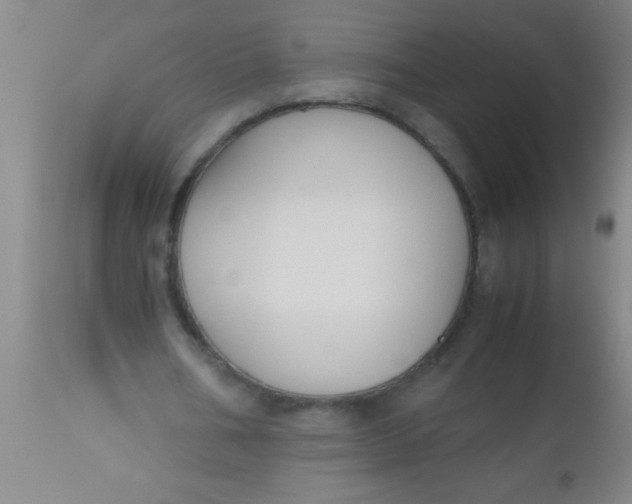 X0000112530578200909071400