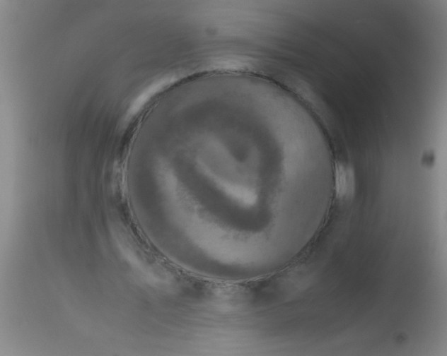 X0000112530579200909071400