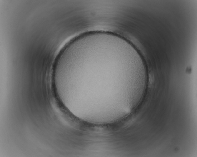 X0000112530580200909071400