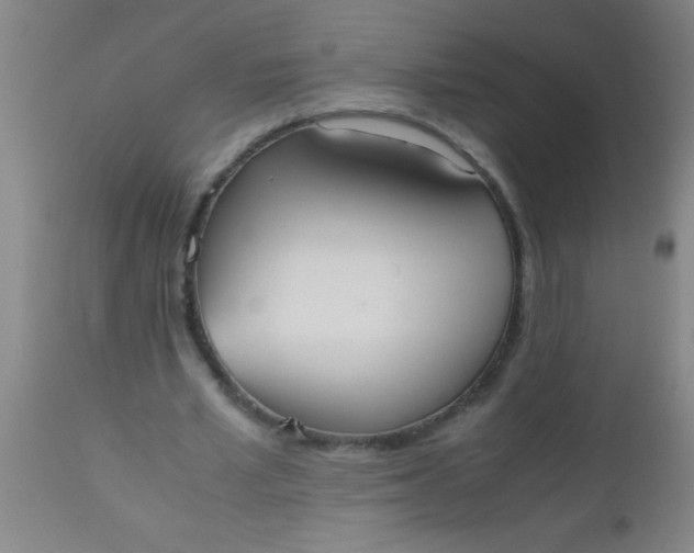 X0000112530581200909071400