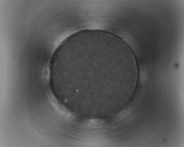 X0000112530584200909071359