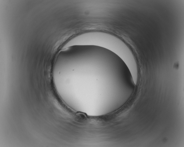 X0000112530585200909071359