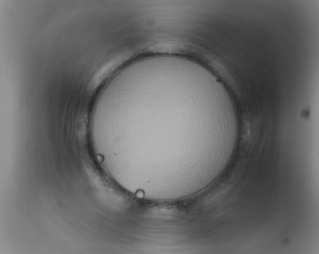 X0000112530586200909071359