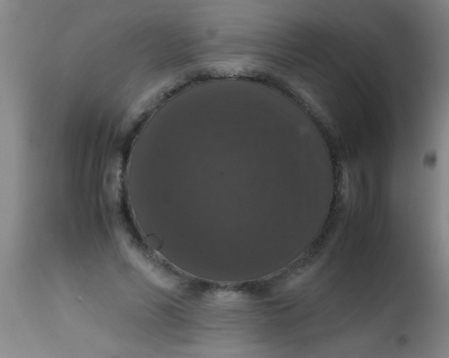 X0000112530590200909071359