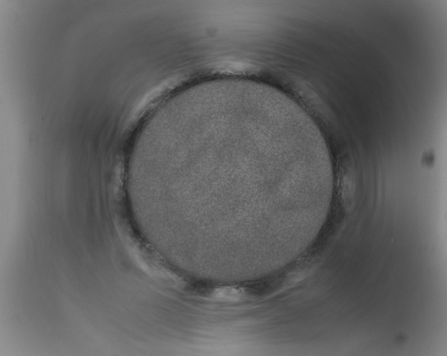 X0000112530591200909071359