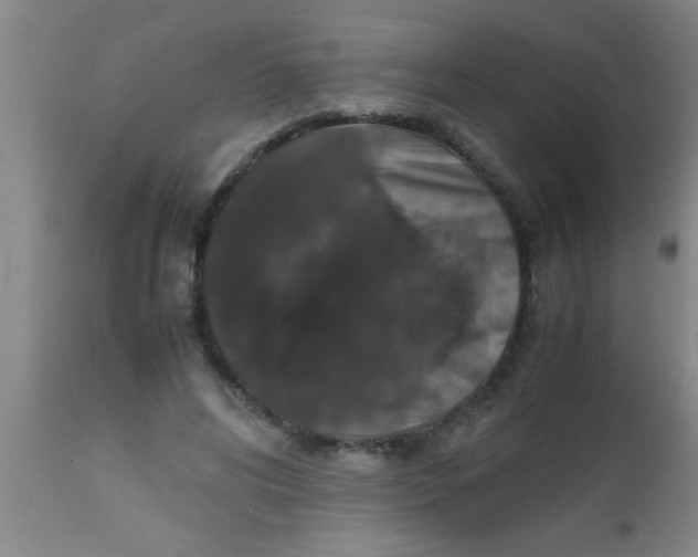 X0000112530592200909071359