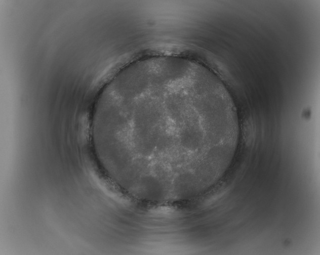 X0000112530594200909071359