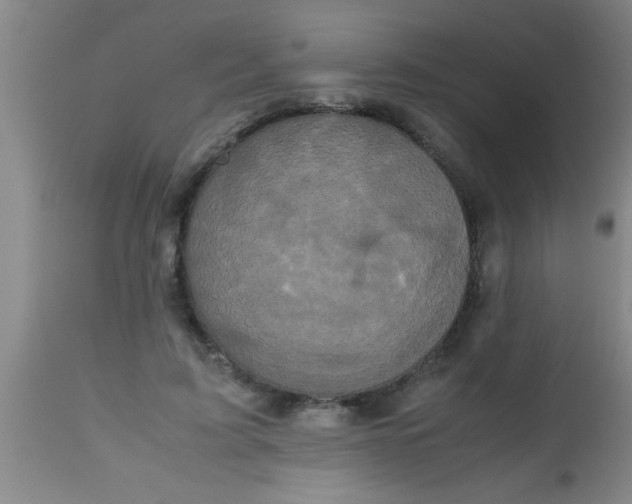 X0000112530595200909071359