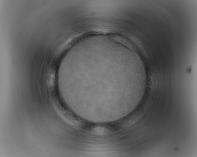 X0000112530596200909071359