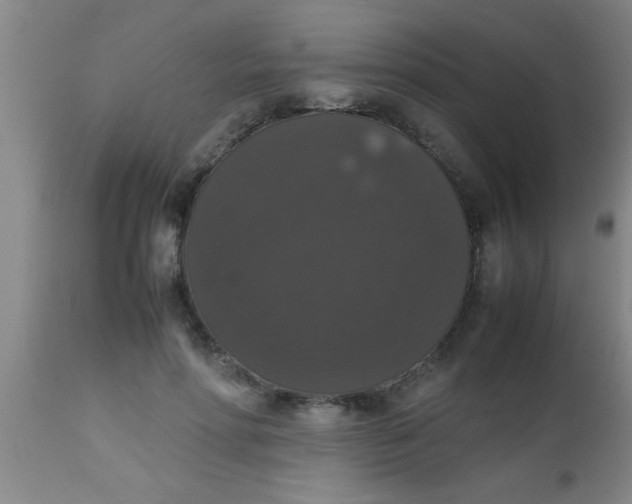 X0000112530598200909071359