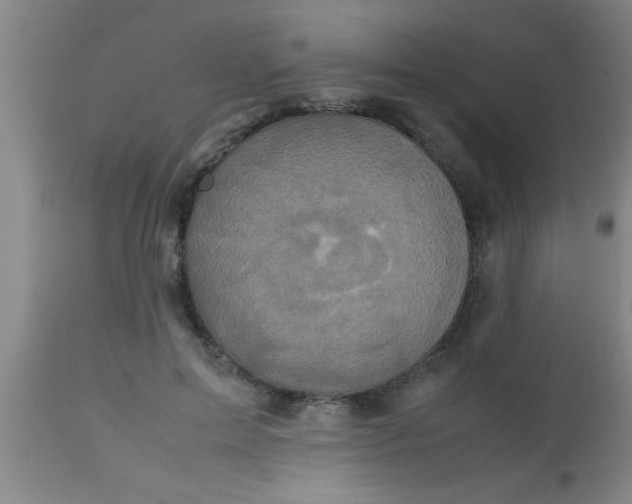 X0000112530599200909071359