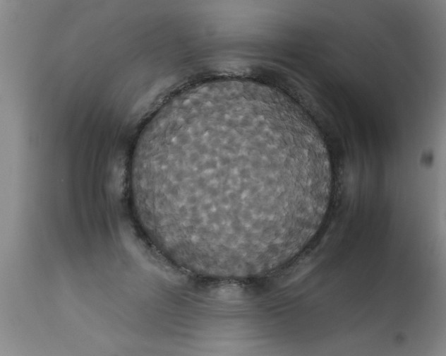 X0000112530600200909071359