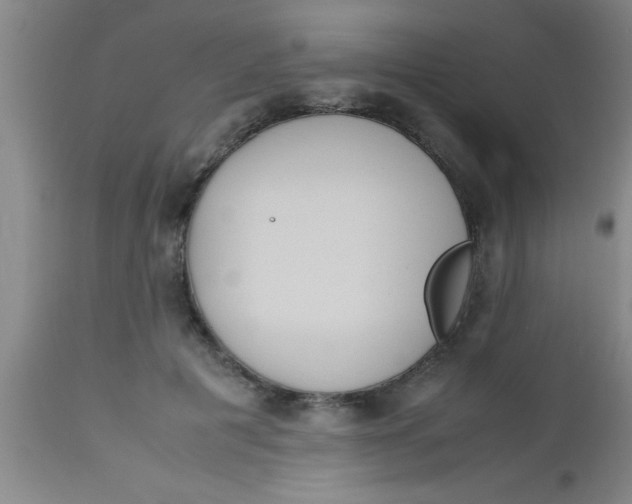 X0000112530601200909071359