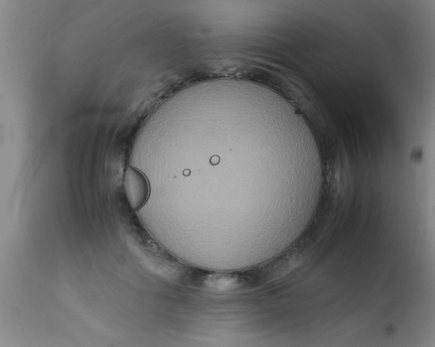 X0000112530602200909071359