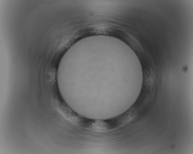 X0000112530603200909071359