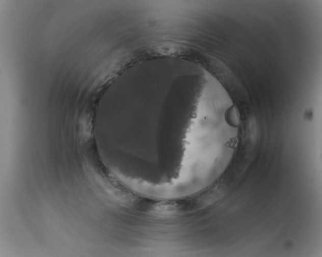 X0000112530606200909071359