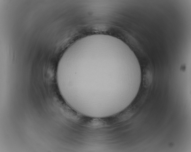 X0000112530608200909071359