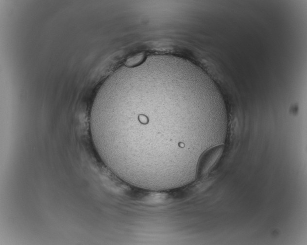 X0000112530609200909071359