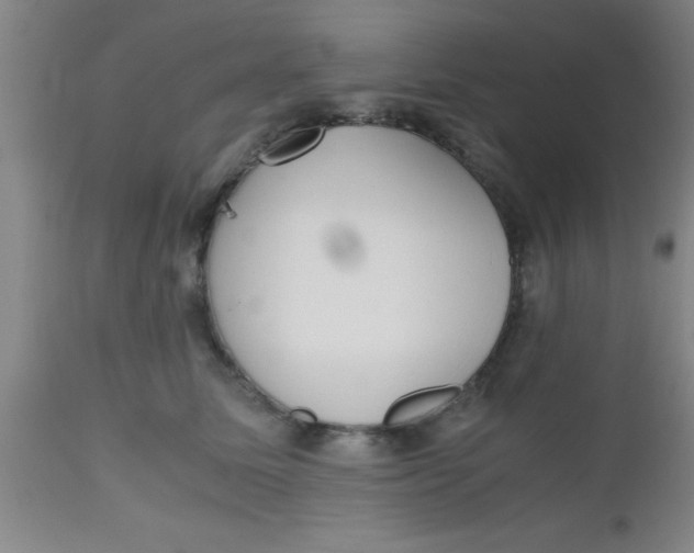 X0000112530611200909071359