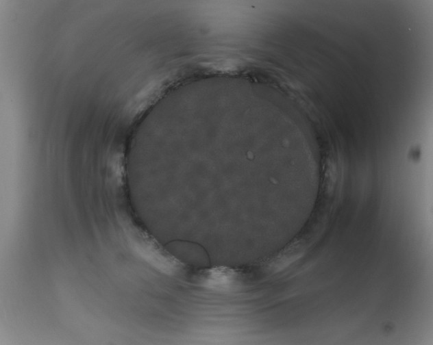 X0000112530612200909071359