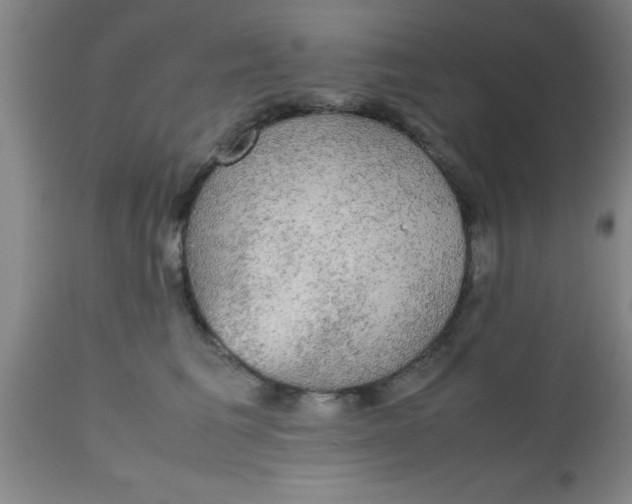 X0000112530613200909071359