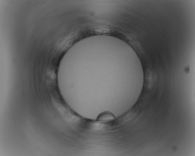 X0000112530614200909071359